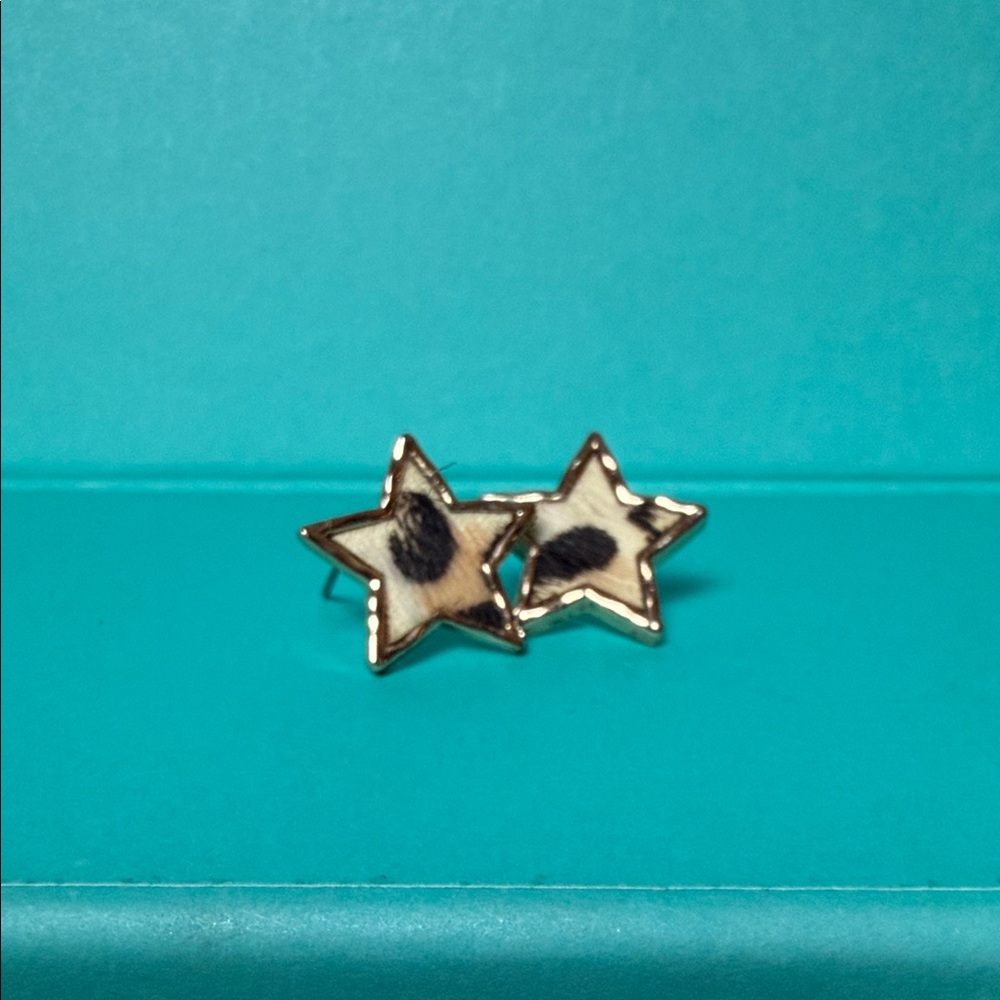 Star-Shaped earrings pony hair